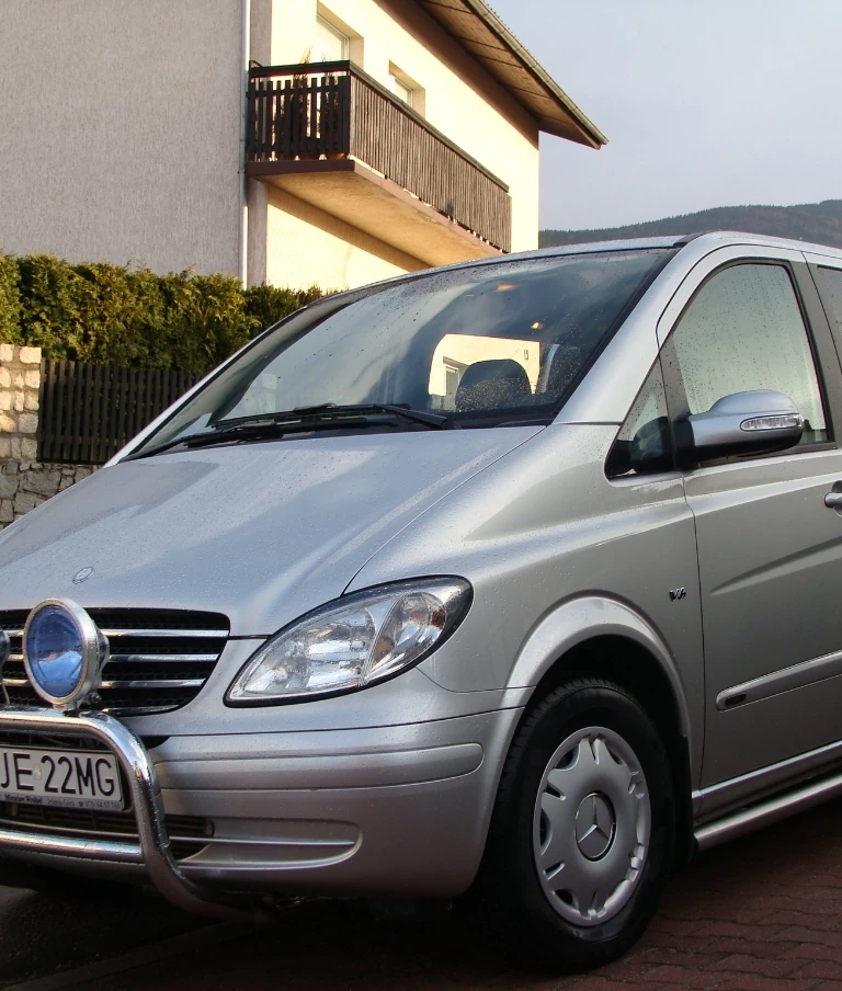 Mercedes Viano